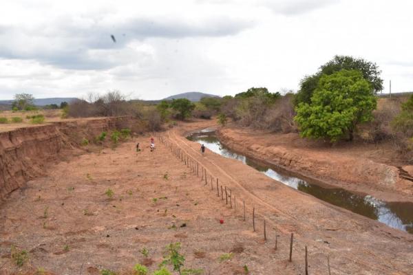 Prefeitura de Santa Rosa inicia reflorestamento das margens do Riacho Engano