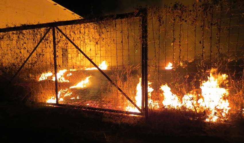 B-R-O-BRÓ tem mais de um incêndio a cada 10 minutos no Piauí