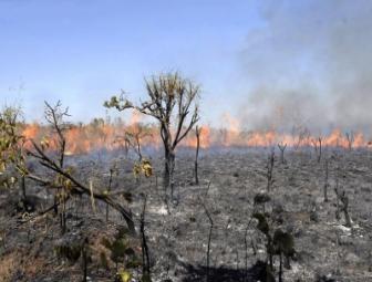 Incêndio de grandes proporções destrói vegetação e deixa Oeiras coberta de fumaça